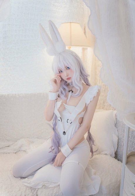 Shika daily beste schöne galerien