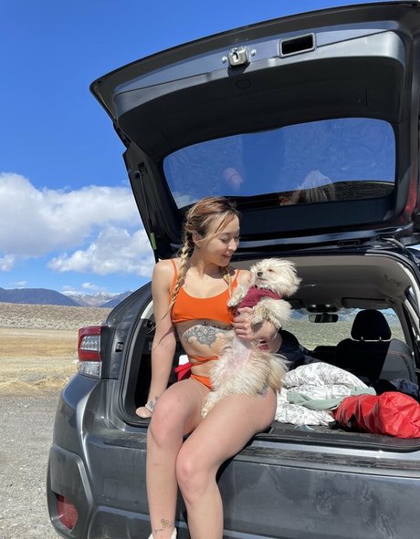 versauteste onlyfans hübsche erwachsene bilder