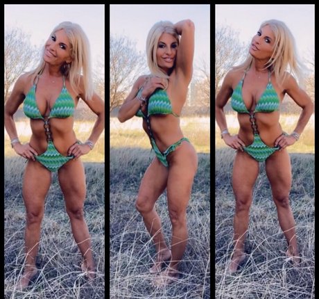 teacherpet schöne freie bilder