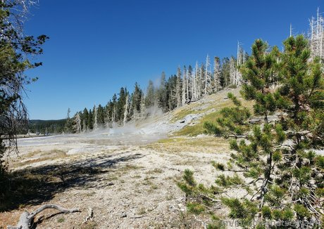 mccoywhatsername schöne top foto