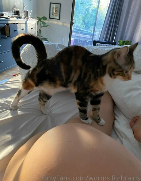 off-grid-onlyfans erwachsene freie bilder