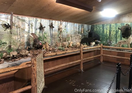 fitness-babe onlyfans erotische pornographische foto