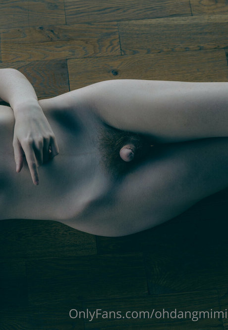 ohdangmimi exklusive erotische archiv