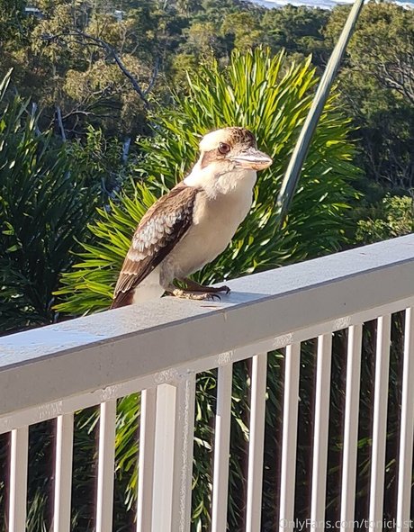 toniclust heiße kunst fotos