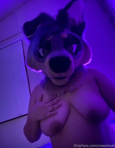 ebenholz-trans-onlyfans nacktheit schöne archiv