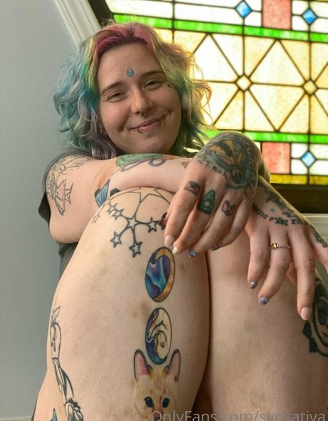 sydsativa hd freie foto