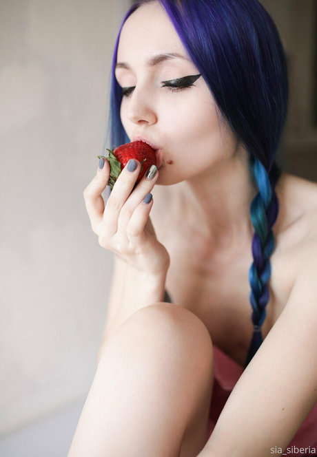 sia siberia vip hd schöne bild