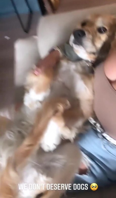 schwarzer squirt nur fans top pornografische fotos