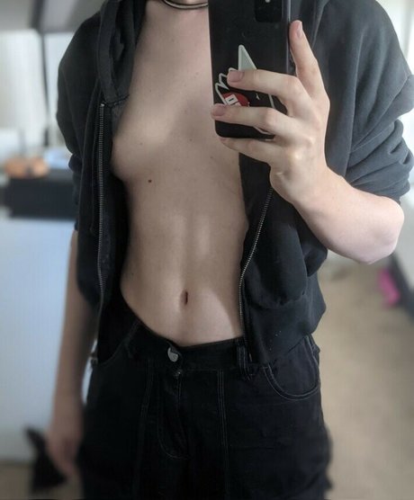 Shaninjago beste perfekte galerie