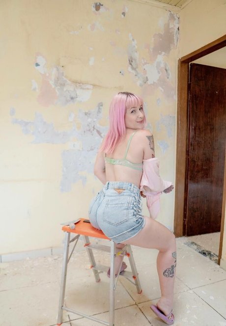 candydrika beste top archiv