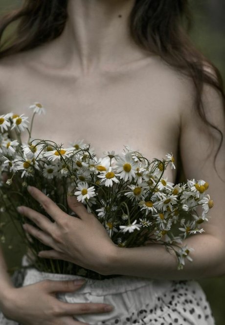 willa wilkins_ schauspielerin kostenlose galerie