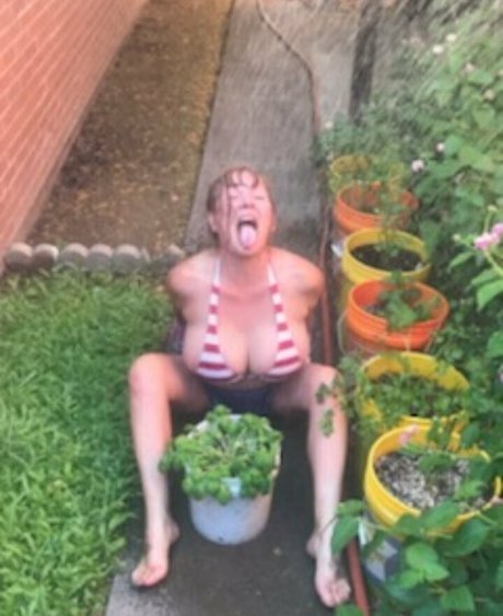 kurvige ebenholz-onlyfans top kostenlose bilder