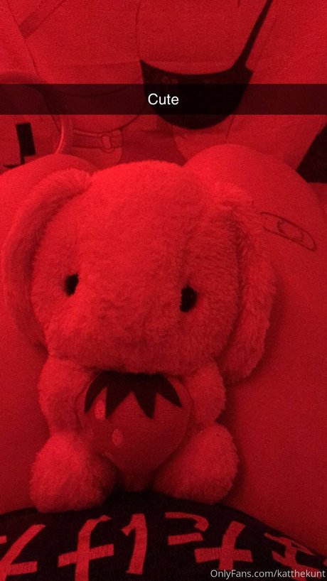 skandal-onlyfans erwachsene kunst fotos