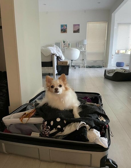 winzige asiatische onlyfans erwachsene nackten foto