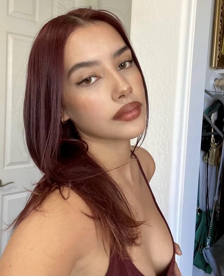 sftobrazil kunst schöne galerien