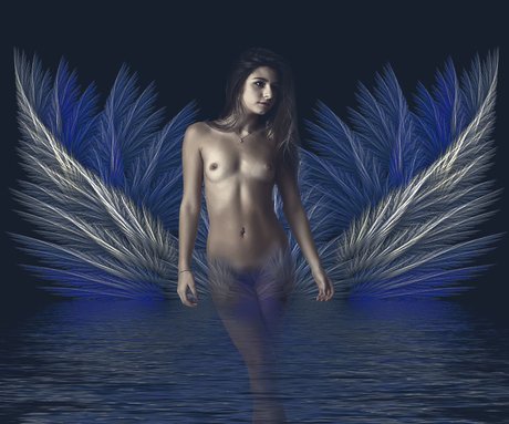 Ariel Smiko akt galerien