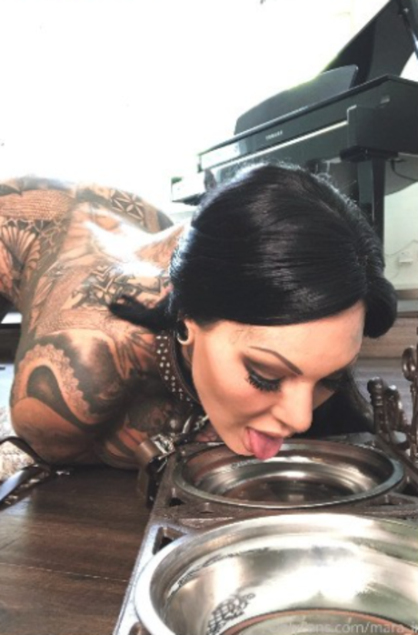 Mara inkperial beste pornostar fotos