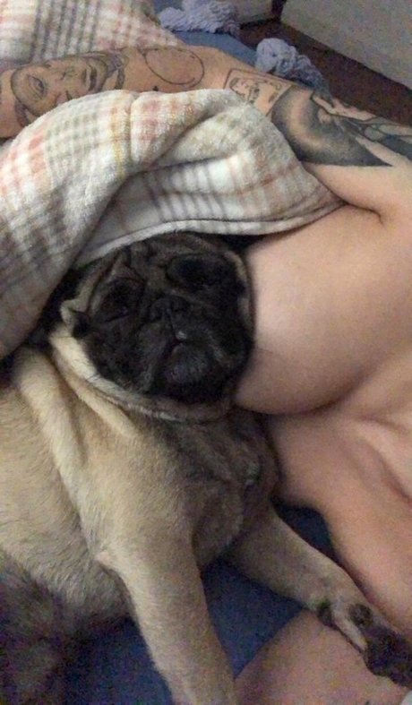 lesben strapon onlyfans beste sexy galerie