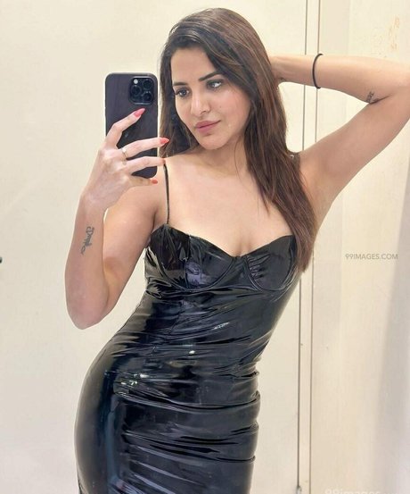 Ashu Reddy model schöne archiv