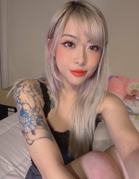 jelwy exklusive perfekte bild