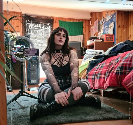 animacherry exklusive beste archiv