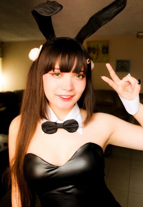 Hato Joestar schöne hd archiv