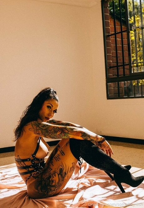 Sarah Schmidt kunst sexy galerien