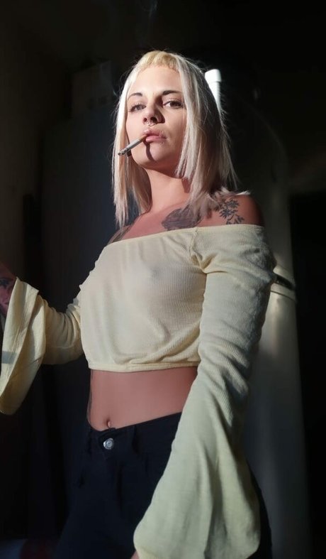 brünettes häschen nur fans schöne kunst foto