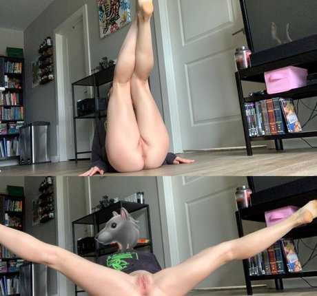 WolfSack kunst schöne foto