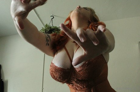 Oatmilkhunny hd kostenlose bilder