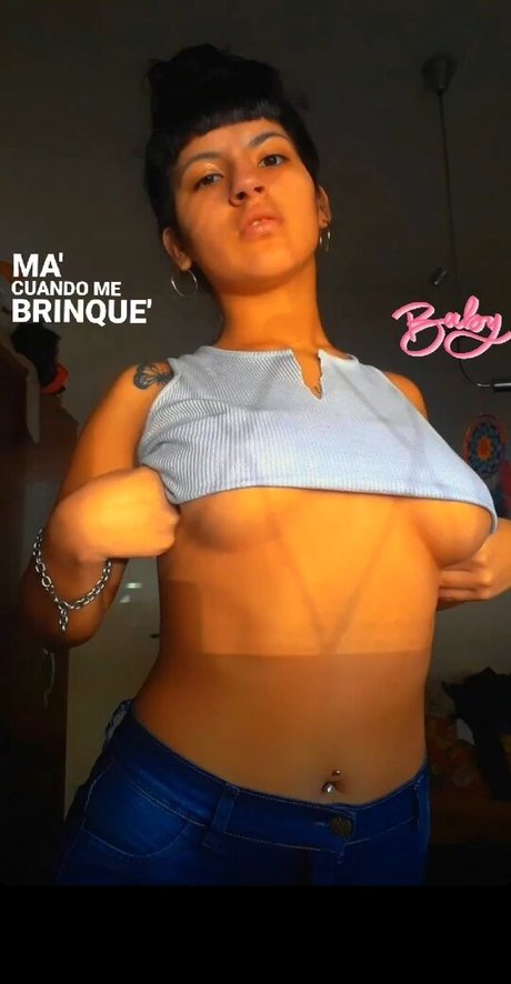 paradisi02 kunst hübsche galerien