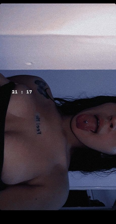 paradisi02 schöne top bilder