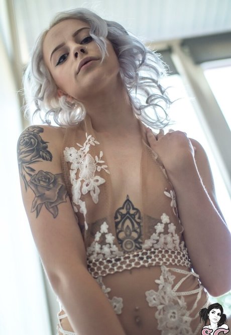 Fayewhyte akt archiv