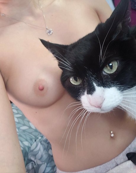 andiland beste nackte archiv