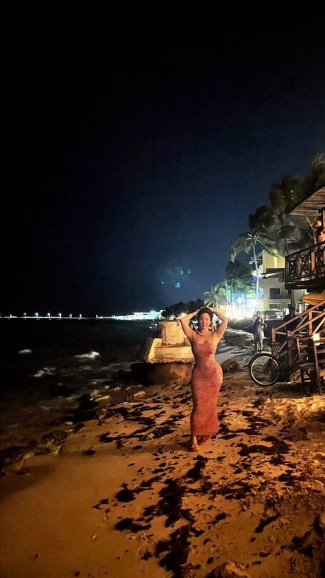 reverse cowgirl nur fans kunst hübsche galerien