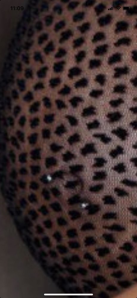 off-grid-onlyfans perfekte freie bild