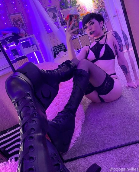 Boogainvillea erwachsene top foto