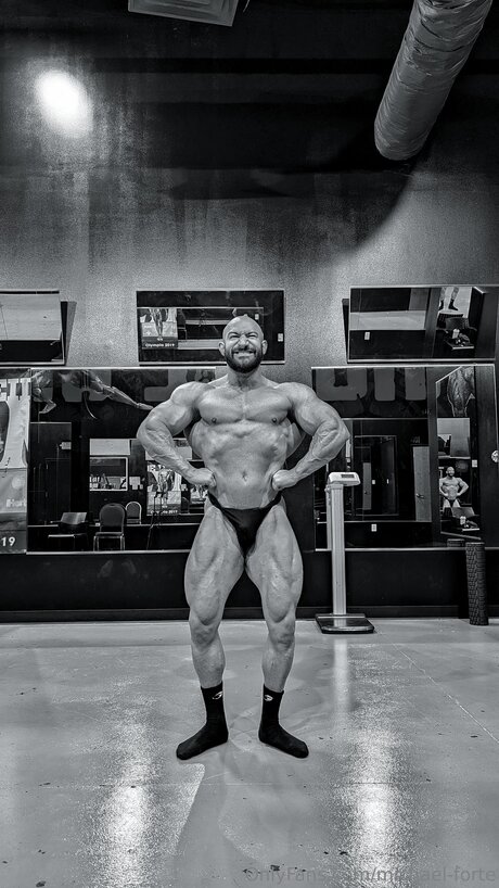 Michael Forte freie beste galerie