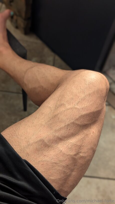 Michael Forte freie schöne bild