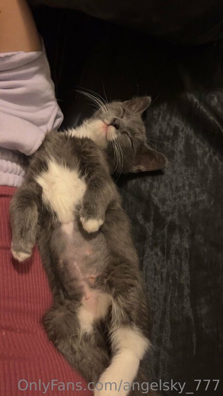 Angelsky 777 porno akt foto