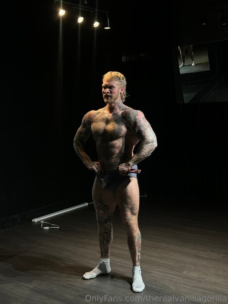 ebenholz-trans-onlyfans xxx sexy archiv