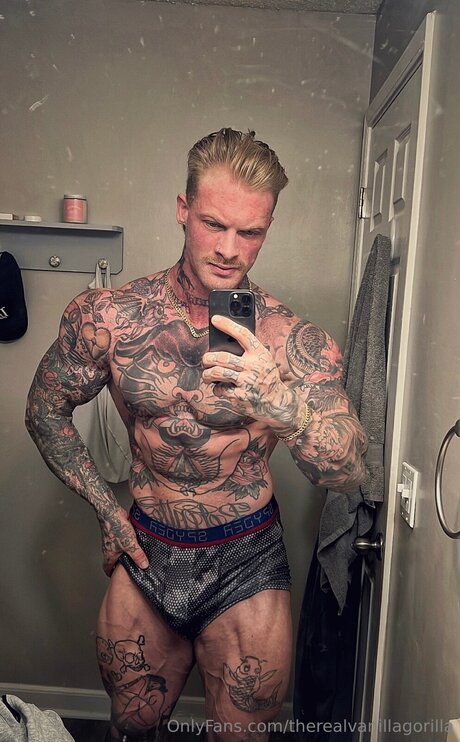 Therealvanillagorilla beste porno galerien