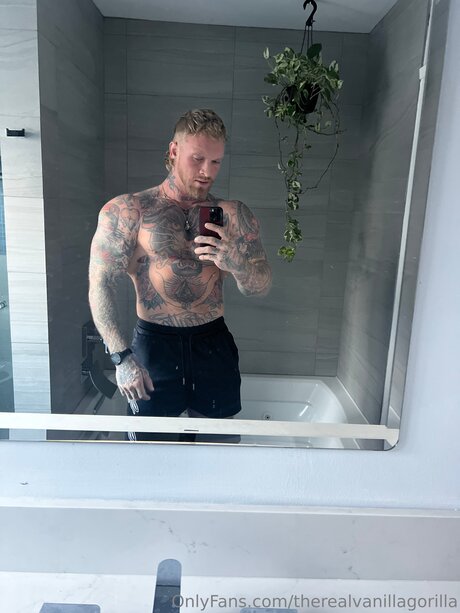 Therealvanillagorilla top perfekte fotos