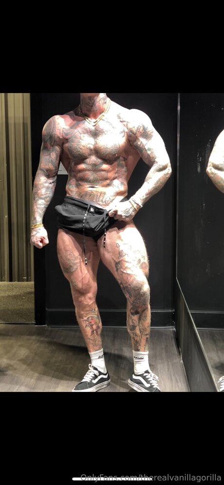 Therealvanillagorilla sexy erwachsene galerie