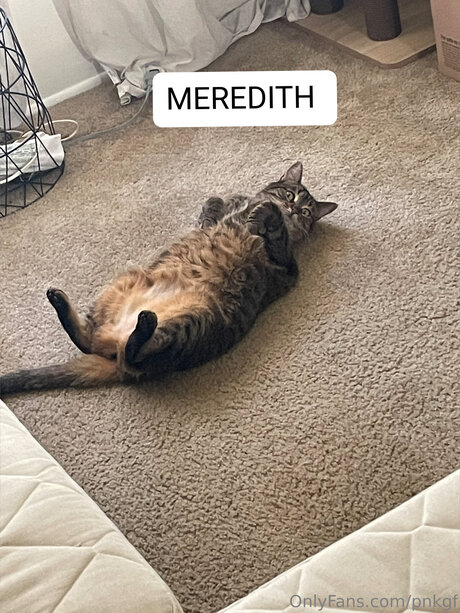 Pnkgf model hübsche galerie