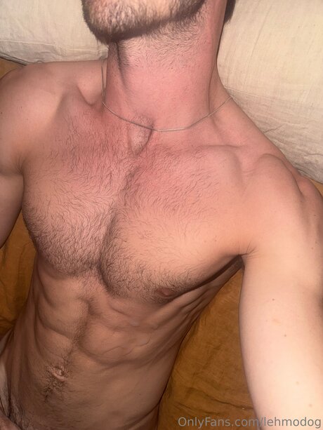 Lehmodog top heiße galerien