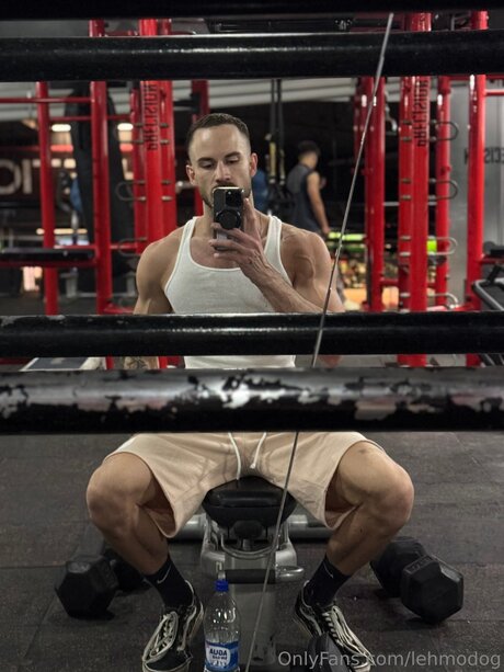 Lehmodog schöne archiv