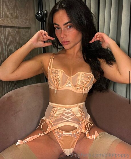 Allofpoppy freie top foto