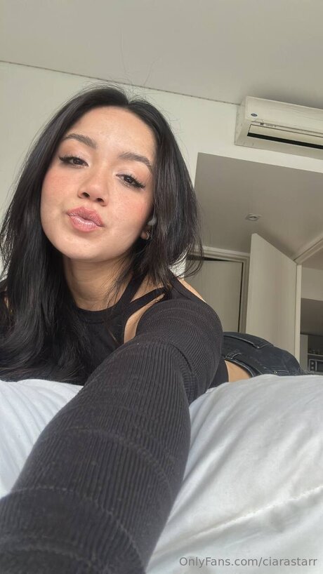 Ciarastarr beste galerien