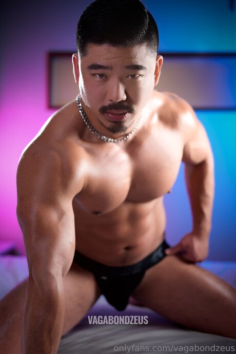 Vagabondzeus kostenlose kunst fotos